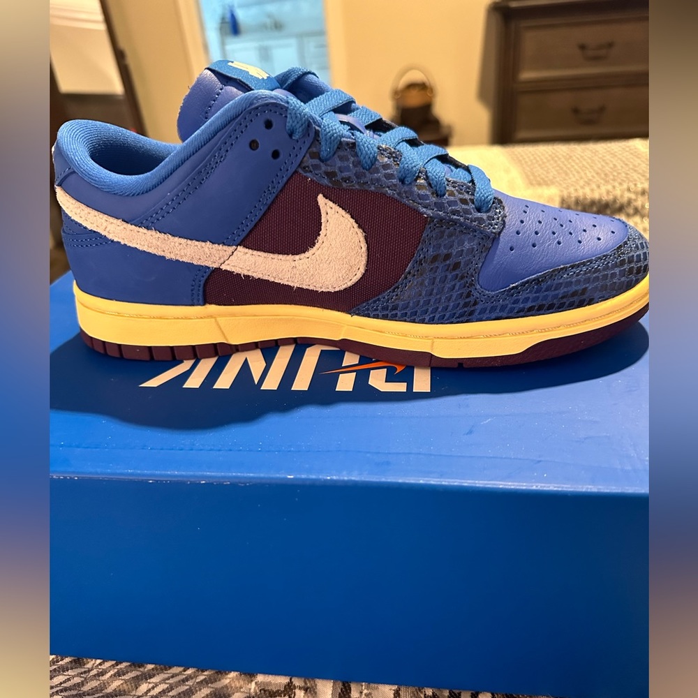 NIB - Nike Dunk Low SP DH6508-400 - Picture 9 of 11